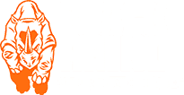 Black Rhino Surfaces