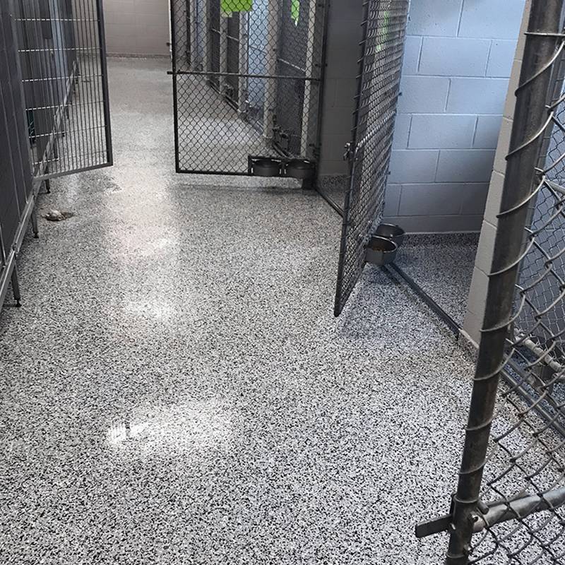 Contact Black Rhino Surfaces for Your Dog Kennel Flooring Solution Today! Contact Black Rhino Surfaces for Your Dog Kennel Flooring Solution Today!