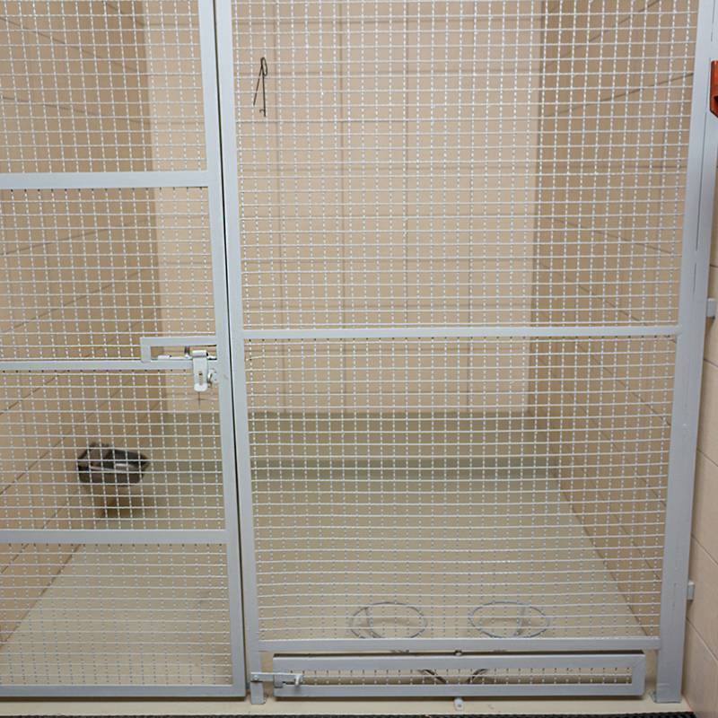 THE BEST CHOICE FOR DOG KENNEL FLOORING THE BEST CHOICE FOR DOG KENNEL FLOORING